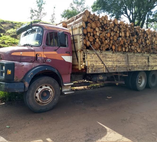 Caminhão carregado de lenha tomba entre Acari e Currais Novos