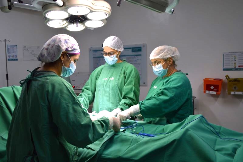 Planos de saúde no RN poderão ser punidos por cancelamento de contratos durante tratamentos&nbsp;contínuos