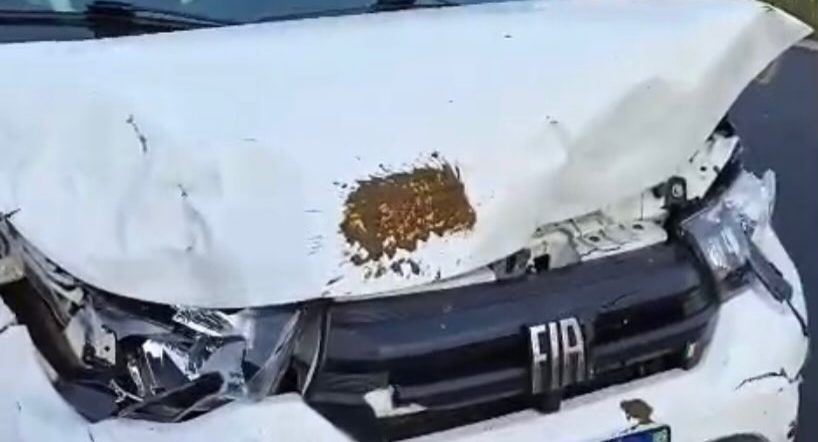 Filho de Neto Araújo Sofre Acidente de Trânsito na RN-118 a Caminho do Velório do&nbsp;Pai