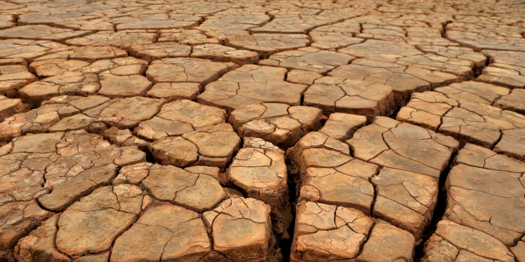 ENTRE A PROMESSA E A REALIDADE: Você acredita nas previsões do El Niño? E o governo, está mesmo preparado?