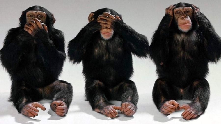 O Supremo e a metáfora dos três macacos: O Brasil exige uma Justiça que veja, ouça e&nbsp;fale